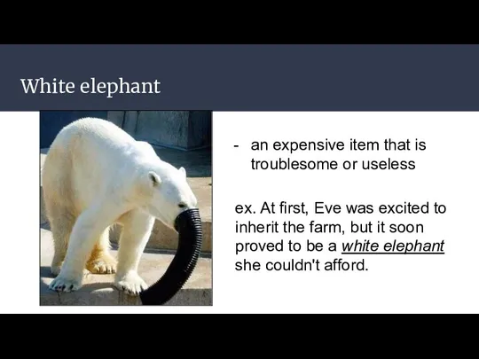 White elephant an expensive item that is troublesome or useless