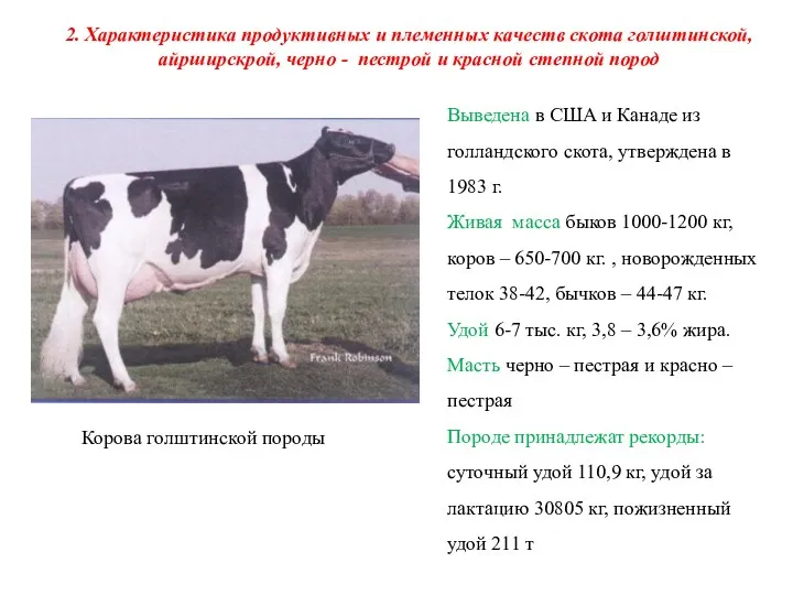 2. Характеристика продуктивных и племенных качеств скота голштинской, айрширскрой, черно