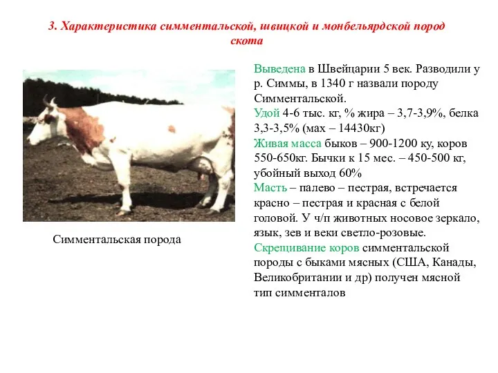 3. Характеристика симментальской, швицкой и монбельярдской пород скота Симментальская порода