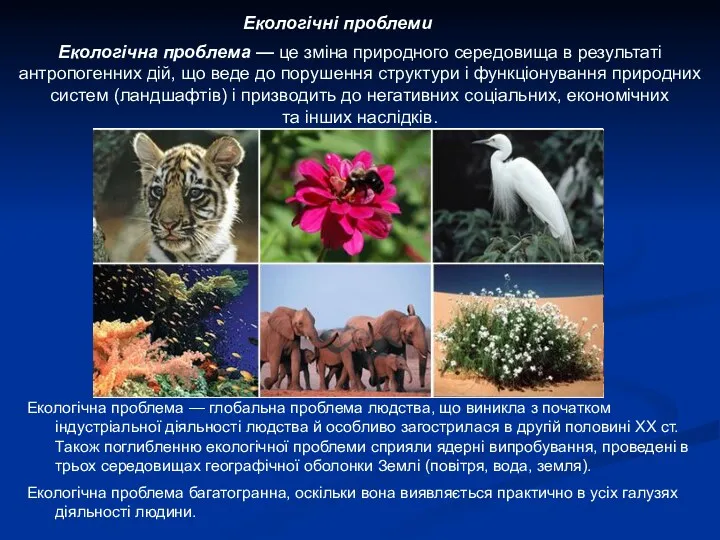 Екологічна проблема — це зміна природного середовища в результаті антропогенних