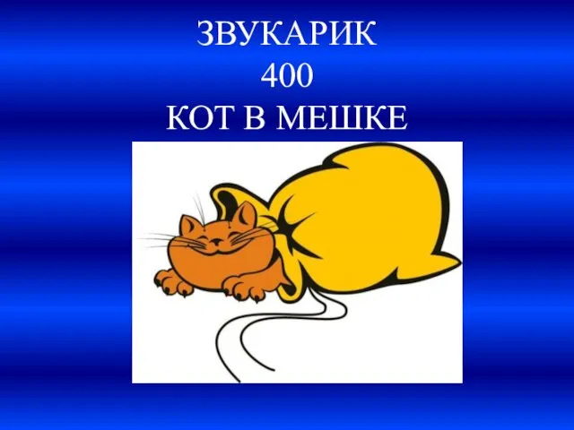 ЗВУКАРИК 400 КОТ В МЕШКЕ