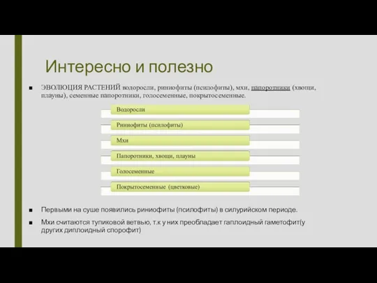 Интересно и полезно ЭВОЛЮЦИЯ РАСТЕНИЙ водоросли, риниофиты (псилофиты), мхи, папоротники (хвощи, плауны), семенные