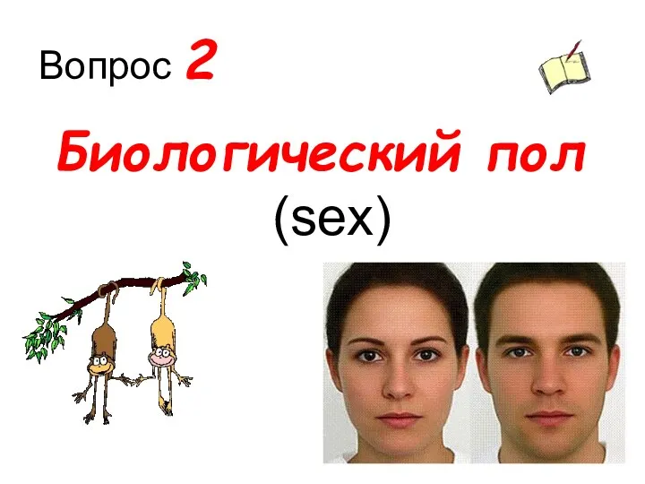 Вопрос 2 Биологический пол (sex)