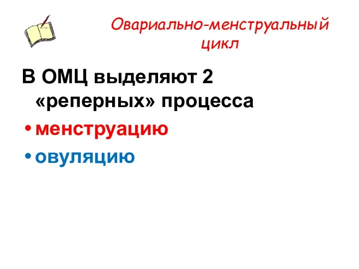 Овариально-менструальный цикл В ОМЦ выделяют 2 «реперных» процесса менструацию овуляцию