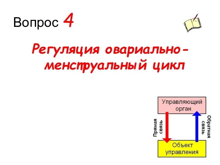 Вопрос 4 Регуляция овариально-менструальный цикл