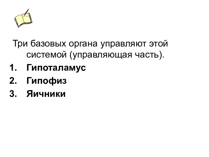 Три базовых органа управляют этой системой (управляющая часть). Гипоталамус Гипофиз Яичники