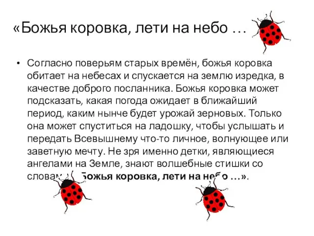 «Божья коровка, лети на небо … » Согласно поверьям старых