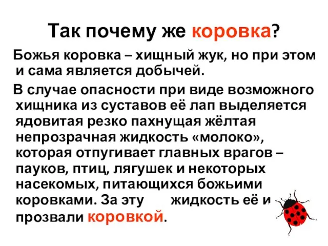 Так почему же коровка? Божья коровка – хищный жук, но