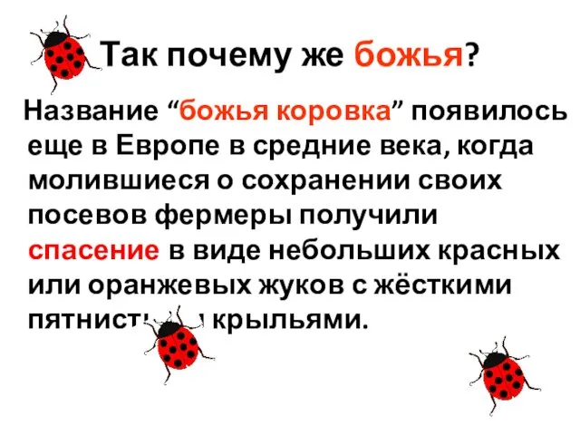 Так почему же божья? Название “божья коровка” появилось еще в