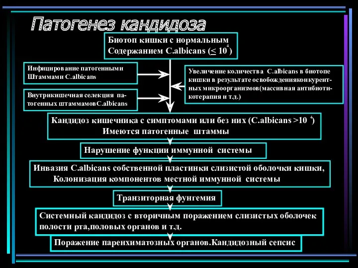 Патогенез кандидоза Биотоп кишки с нормальным Содержанием С.albicans ( Кандидоз