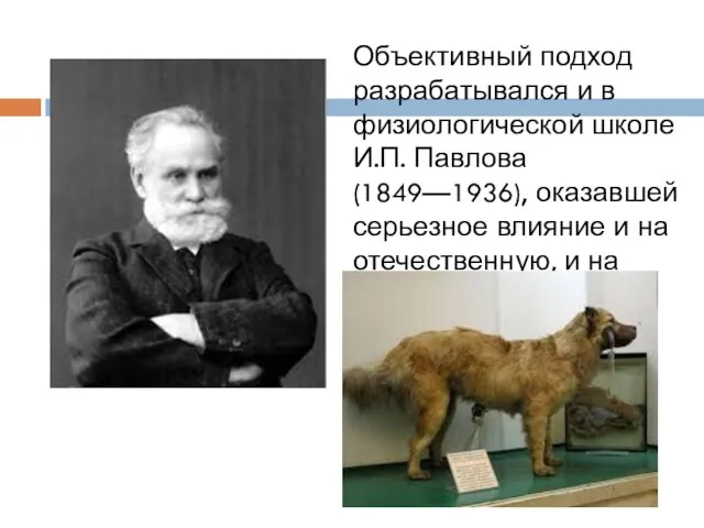 Объективный подход разрабатывался и в физиологической школе И.П. Павлова (1849—1936),