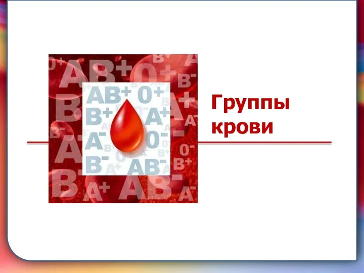 складками его внутренней оболочки, обеспечивает однонаправленный ток крови за счет