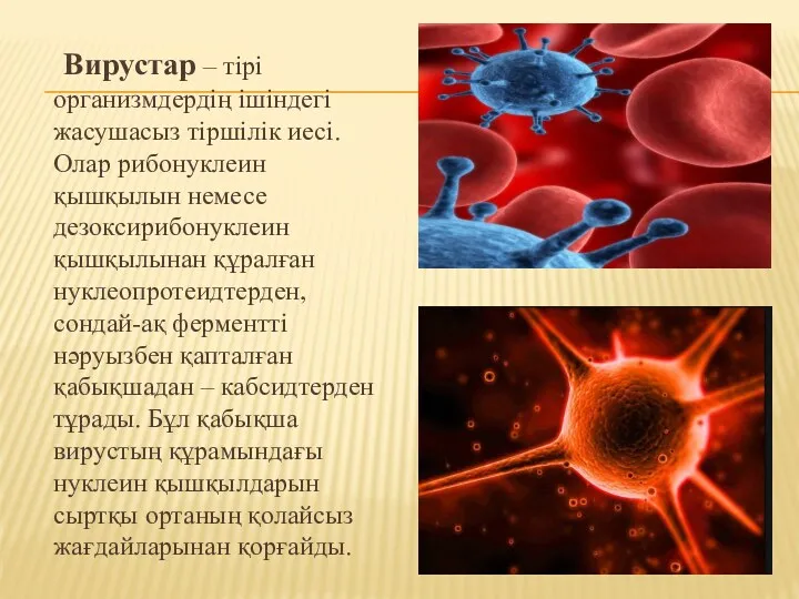 Вирустар – тірі организмдердің ішіндегі жасушасыз тіршілік иесі. Олар рибонуклеин