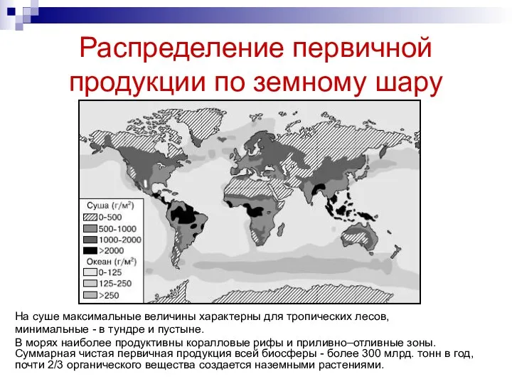 Распределение первичной продукции по земному шару На суше максимальные величины