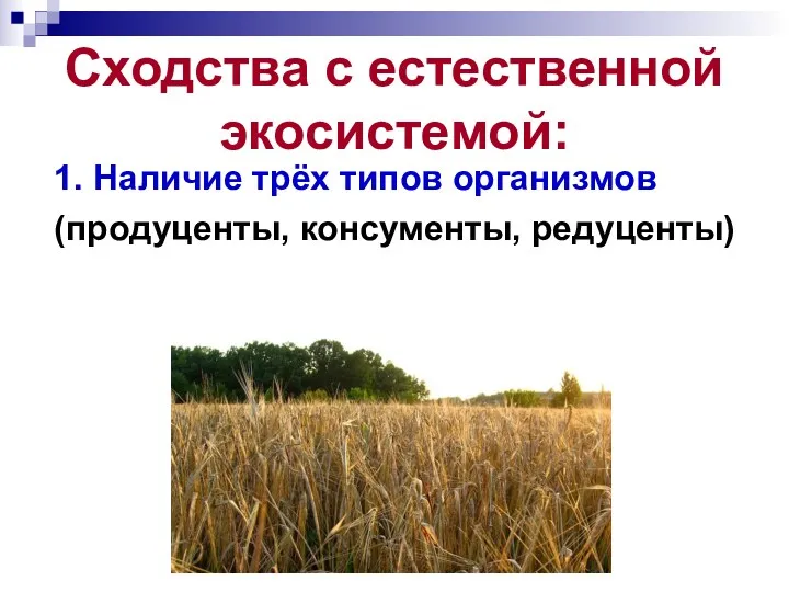 Сходства с естественной экосистемой: 1. Наличие трёх типов организмов (продуценты, консументы, редуценты)