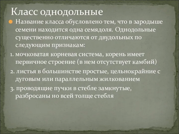 Название класса обусловлено тем, что в зародыше семени находится одна