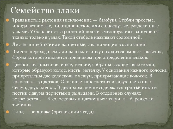 Травянистые растения (исключение — бамбук). Стебли простые, иногда ветвистые, цилиндрические