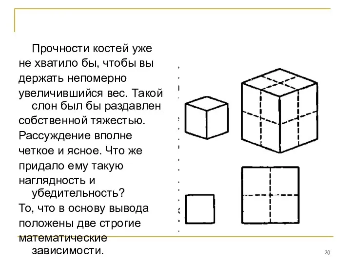 Прочности костей уже не хватило бы, чтобы вы держать непомерно