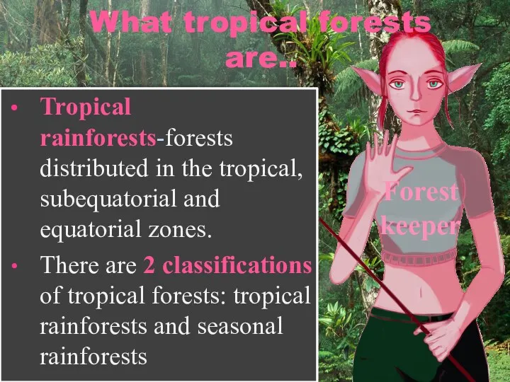 What tropical forests are.. Tropical rainforests-forests distributed in the tropical,