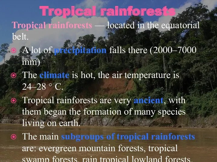 Tropical rainforests Tropical rainforests — located in the equatorial belt.