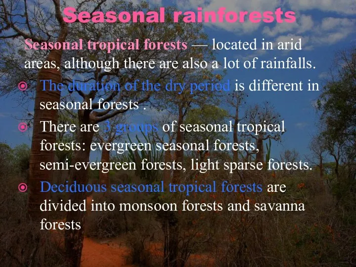 Seasonal rainforests Seasonal tropical forests — located in arid areas,