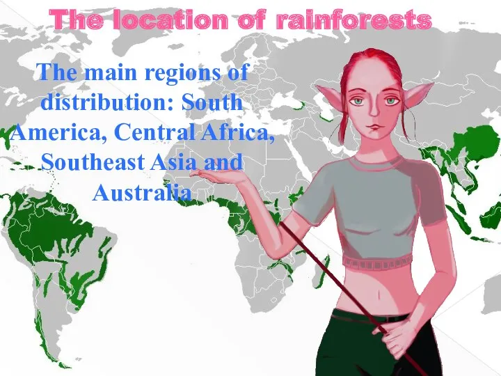 The location of rainforests The main regions of distribution: South