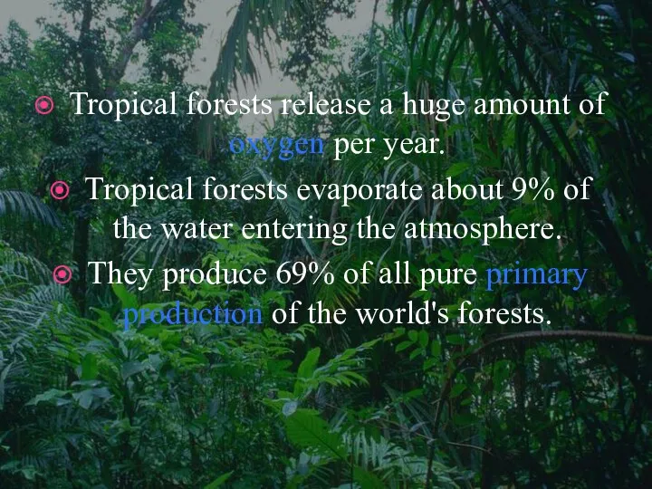 Tropical forests release a huge amount of oxygen per year.