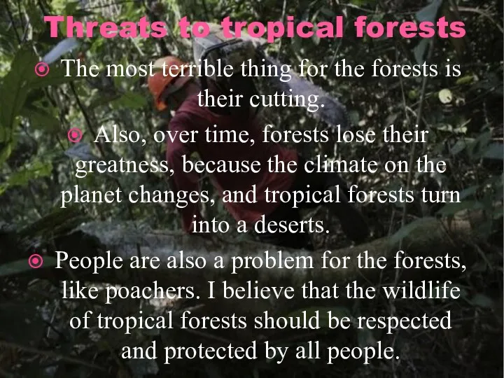 Threats to tropical forests The most terrible thing for the