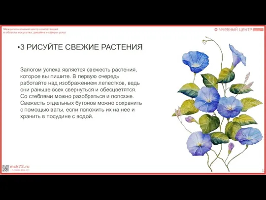 3 РИСУЙТЕ СВЕЖИЕ РАСТЕНИЯ Залогом успеха является свежесть растения, которое