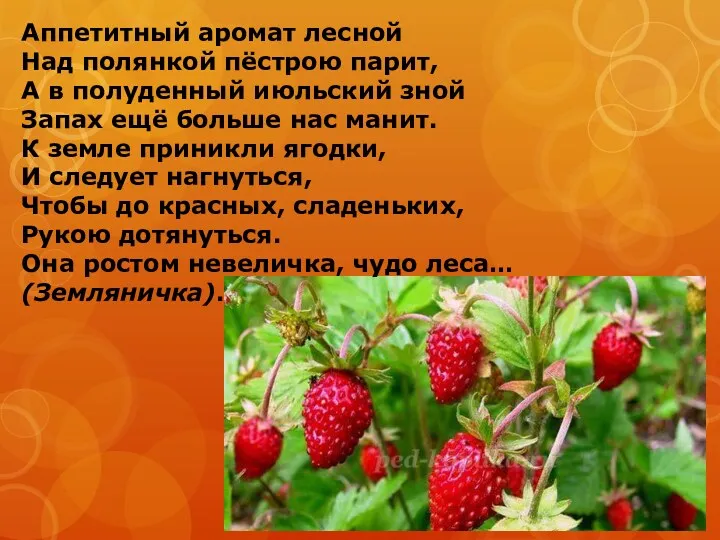 Аппетитный аромат лесной Над полянкой пёстрою парит, А в полуденный