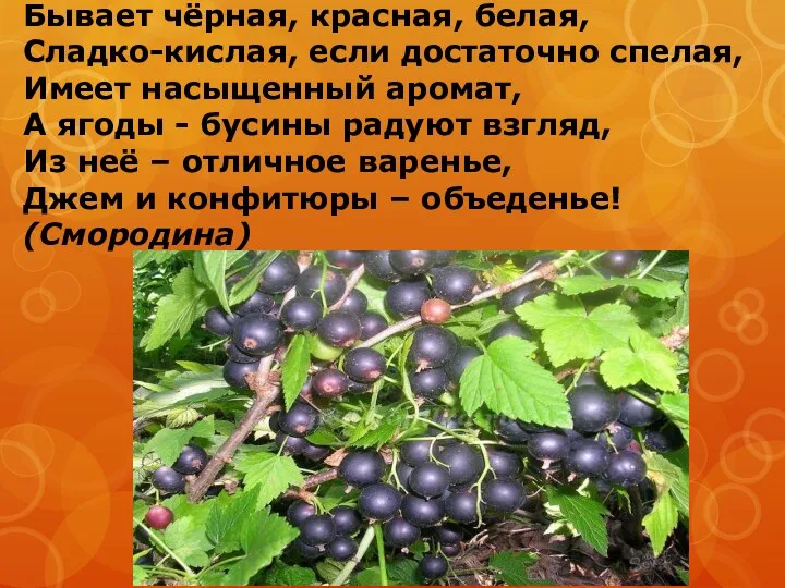 Бывает чёрная, красная, белая, Сладко-кислая, если достаточно спелая, Имеет насыщенный