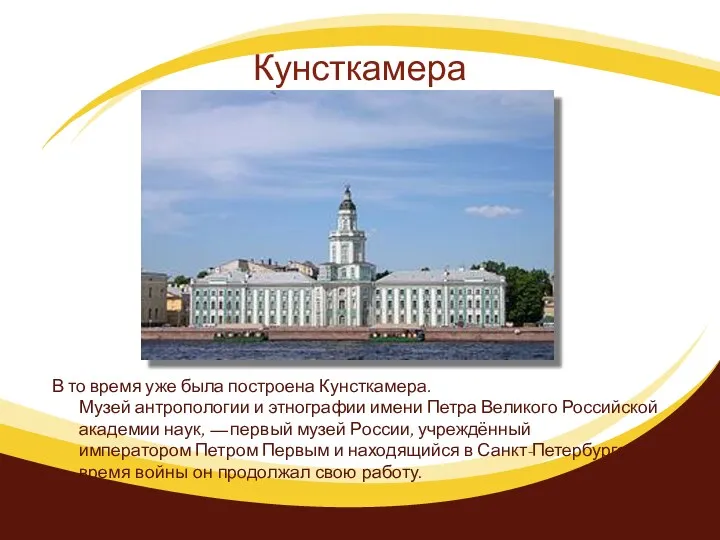 Кунсткамера В то время уже была построена Кунсткамера. Музей антропологии и этнографии имени