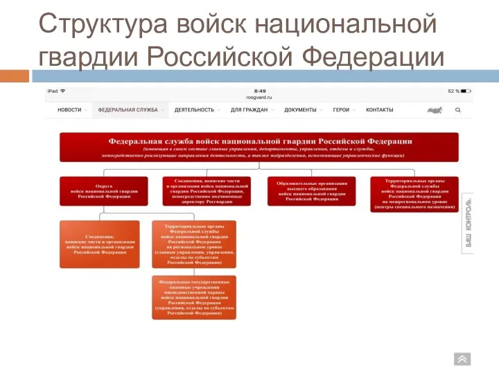 Структура войск национальной гвардии Российской Федерации