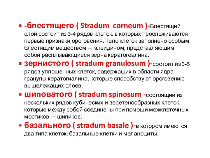 -блестящего ( Stradum corneum )-Блестящий слой состоит из 3-4 рядов