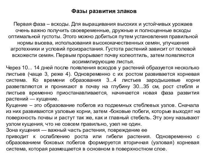 Фазы развития злаков Первая фаза – всходы. Для выращивания высоких