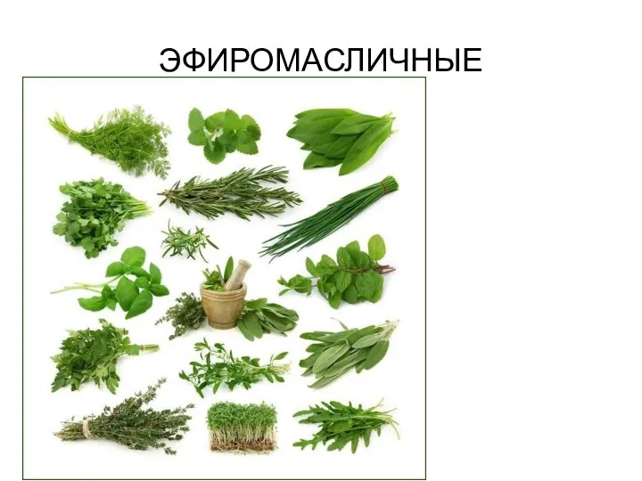 ЭФИРОМАСЛИЧНЫЕ