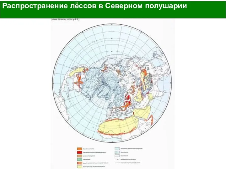 Распространение лёссов в Северном полушарии