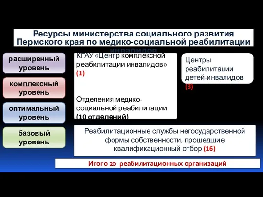 Итого 20 реабилитационных организаций