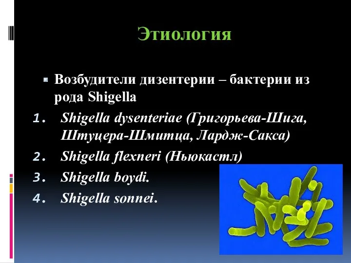 Этиология Возбудители дизентерии – бактерии из рода Shigella Shigella dysenteriae