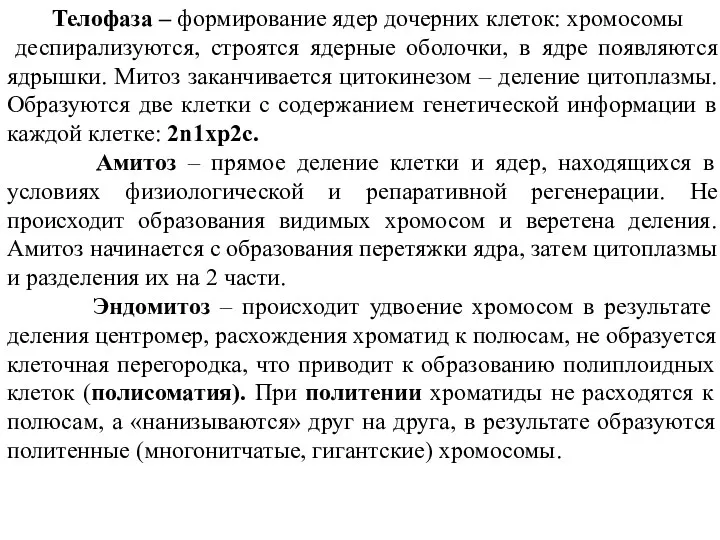 Телофаза – формирование ядер дочерних клеток: хромосомы деспирализуются, строятся ядерные