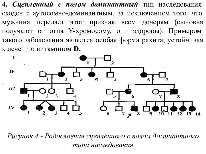 4. Сцепленный с полом доминантный тип наследования сходен с аутосомно-доминантным,