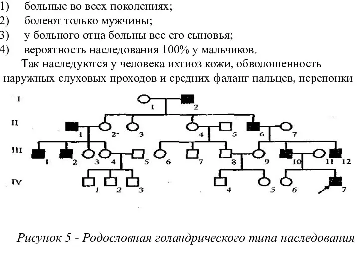 5. Голандрический тип наследования характеризуется следующими признаками: больные во всех