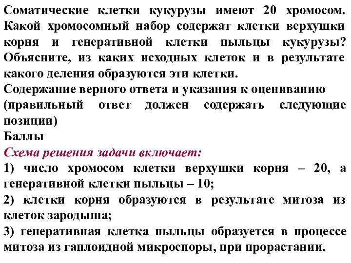 Соматические клетки кукурузы имеют 20 хромосом. Какой хромосомный набор содержат