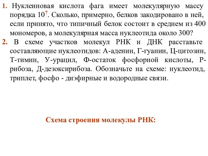 1. Нуклеиновая кислота фага имеет молекулярную массу порядка 107. Сколько,