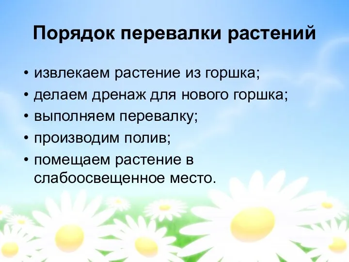 Порядок перевалки растений извлекаем растение из горшка; делаем дренаж для нового горшка; выполняем