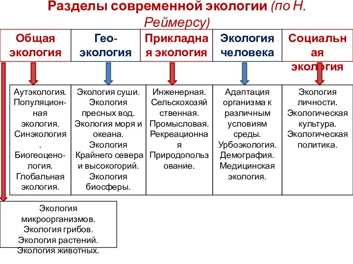 Разделы современной экологии (по Н. Реймерсу) Общая экология Гео- экология