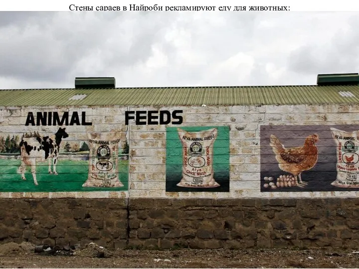 Стены сараев в Найроби рекламируют еду для животных: