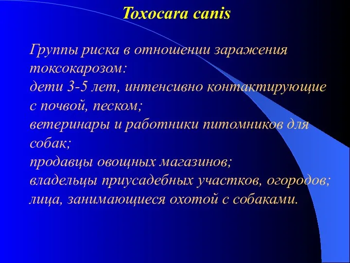 Toxocara canis Группы риска в отношении заражения токсокарозом: дети 3-5