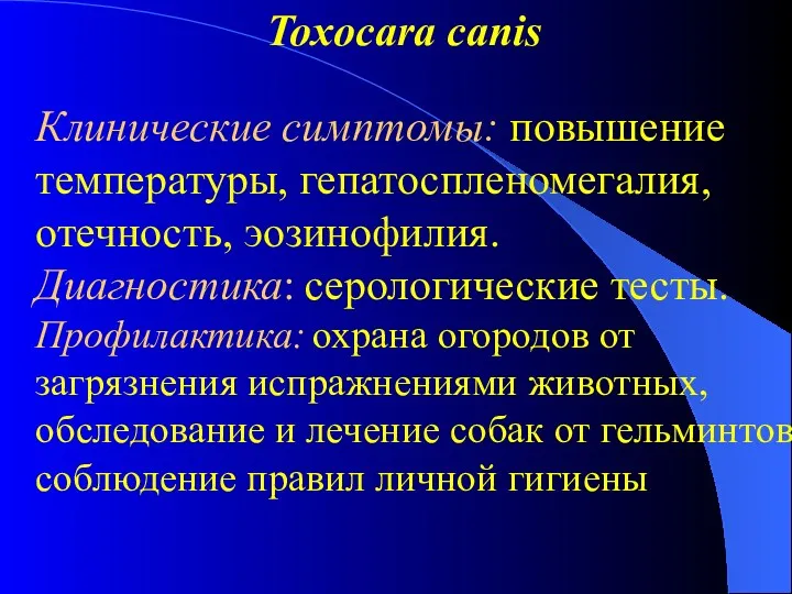 Toxocara canis Клинические симптомы: повышение температуры, гепатоспленомегалия, отечность, эозинофилия. Диагностика: