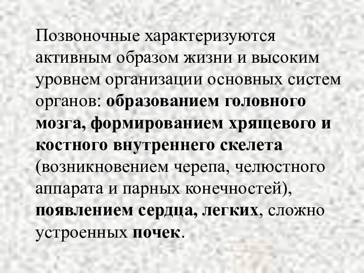 Позвоночные характеризуются активным образом жизни и высоким уровнем организации основных